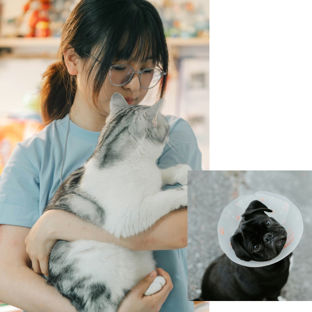 Woman hugging a gray cat