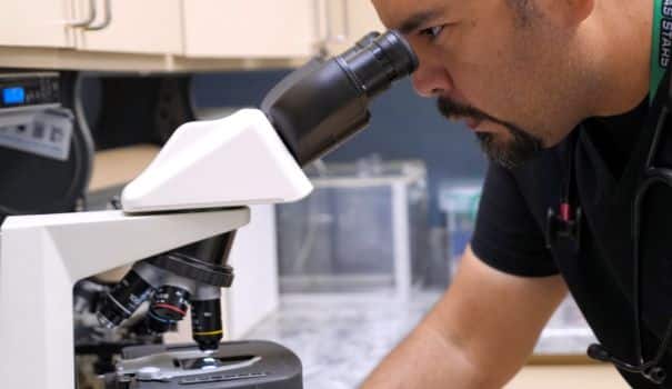 Cute dog looking up indoors